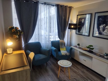 Departamento en arriendo mensual en Excelente Departamento 1D + 1 B - 1 dormitorio, 1 baño