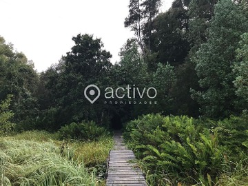 Terreno en venta en Valdivia, Cayumapu, Valdivia