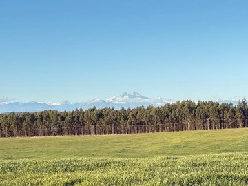 Terreno Agricola en venta en San Carlos de Puren, comuna de Los Angeles, Los Ángeles
