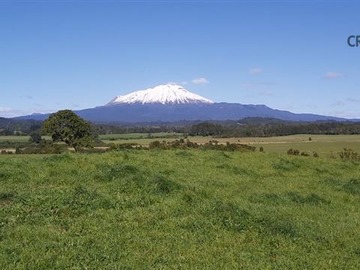 Terreno Agricola en venta en Camino a Ensenada, Puerto Varas