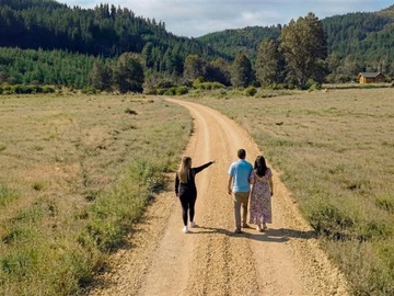 Parcela en venta en Hualañé, Hualañé
