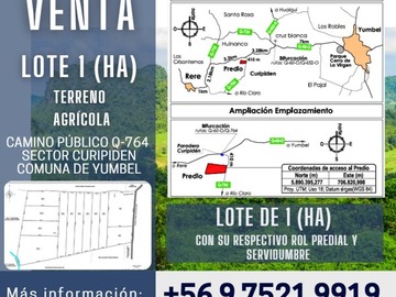 Venta de Lote 1 (Ha) Terreno Agrícola Sector Curipiden Yumbel Image