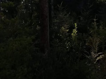 Terreno en venta en Nevados de Challupén, Km 19, Camino a Licán Ray Villarrica.