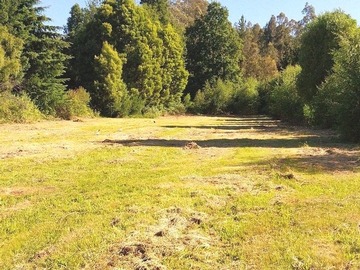 Venta / Terreno Agricola / Villarrica