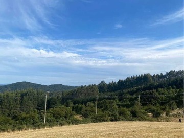 Terreno en venta en Conexión Natural en Entorno Privilegiado (178602), Paillaco