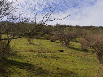 Terreno Agricola en venta en El manzano, Las Cabras