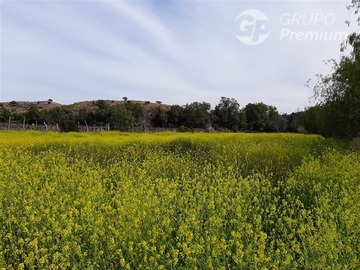 Parcela en venta en Combarbala, Combarbalá - 3 dormitorios, 2 baños