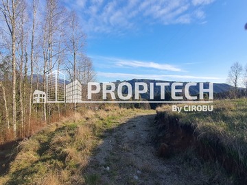 Terreno en venta en Los tallos, panguipulli ., Panguipulli