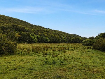 Terreno en venta en Entorno Tranquilo en Isla Grande de Chiloé (170850), Chonchi
