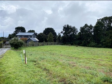 Parcela en venta en Condominio El Pangue, km 6 camino a Ensenada, lindo bosque nativo y pradera, Puerto Varas