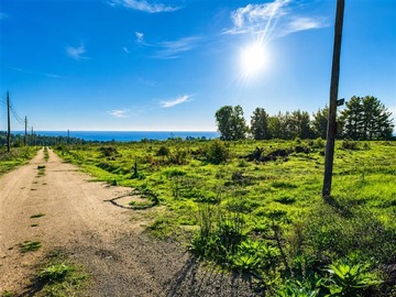 Parcela en venta en Curepto, Curepto