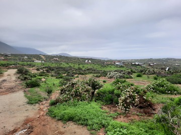 Terreno en venta en Arrayán costero, La Serena