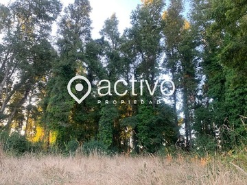 Terreno en venta en Valdivia, Cayumapu, Valdivia