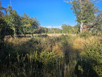 Terreno en venta en {"Error":"Could Not Find A Suitable Tls Ca Ce (155464), Coyhaique - 1 baño