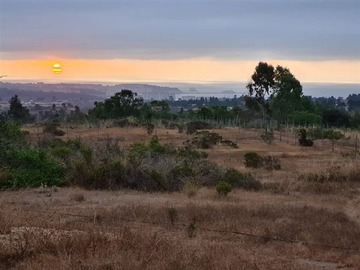 Sitio en venta en Las Dichas Algarrobo 100% Plana Con Vista Al Mar, Algarrobo