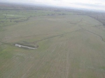 Terreno Agricola en venta en Campo 140 ha en Ñuble plano (183317), Ñiquén