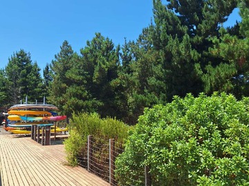 Departamento en venta en Vendo depto amoblado las cruces (172239), El Tabo - 2 dormitorios, 2 baños
