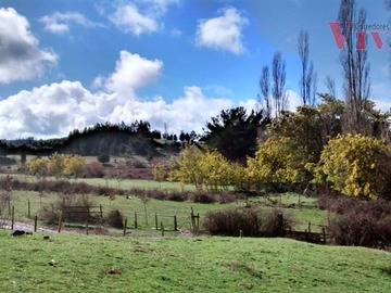 Terreno Agricola en venta en Traiguen - Sector Nancahue, Traiguén