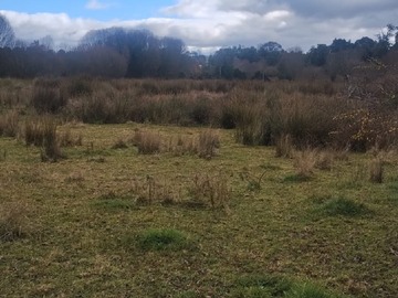 Terreno en venta en Matadero, Los Muermos