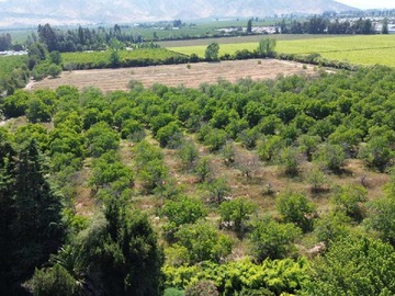 Terreno en venta en Predio Agrícola 8ha Lo Herrera (141165), San Bernardo