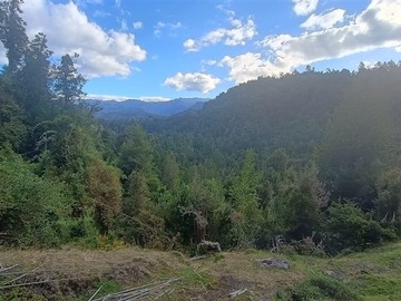 Parcela en venta en Calcurrupe bajo, Lago Ranco - 3 dormitorios