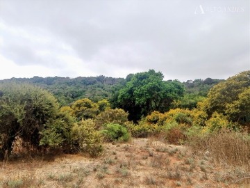 Sitio en venta en Ruta f232 mantagua, Quintero