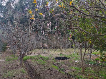 Parcela en venta en Hermosa Parcela Comuna de Malloa VI Region - 4 dormitorios, 2 baños