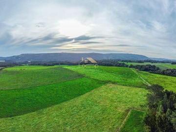 Terreno Agricola en venta en Los Muermos, Los Muermos