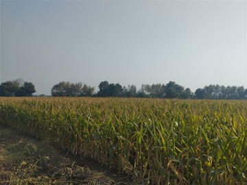 Venta / Terreno / San Clemente