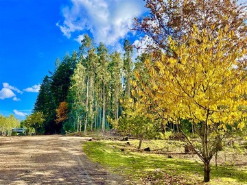 Parcela en venta en Ruta S-258 Temuco, Temuco