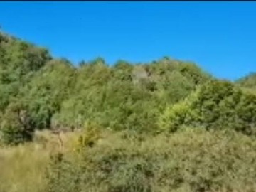 Venta / Sitio / Quellón