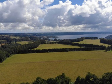 Sitio en venta en Campo Puerto Octay, Lago Llanquihue, Puerto Octay