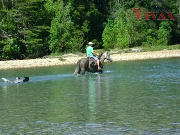 Parcela en venta en Conservación, Turismo, Cochamó