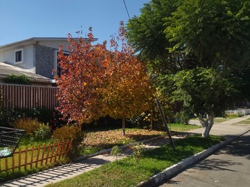 Casa en venta en Hogar Familiar con Gran Luminosidad (160360), Calera de Tango - 2 dormitorios, 2 baños