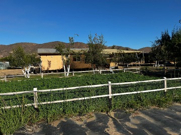 Parcela en venta en Calle Los Maitenes, Curacaví - 2 dormitorios, 3 baños