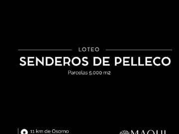 Terreno en venta en Parcelas, loteo senderos de pelleco (107199), Osorno