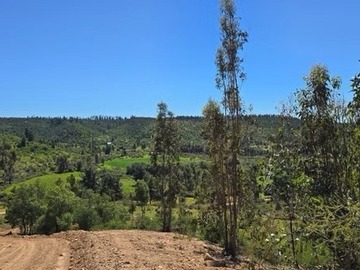 Parcela en venta en Pailimo, Pichilemu