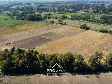 Terreno Agricola en venta en Venta Parcela Agrícola 17 has suelos RI y RII, Champa, Paine, Paine - 3 dormitorios, 2 baños
