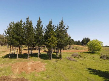 Terreno en venta en Parcelas con credito directo chillan viejo (76461), Chillán Viejo