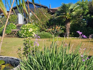 Casa en arriendo mensual en Oportunidad: Parcela en Entorno Natural (169332), Limache - 4 dormitorios, 3 baños