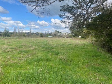 Venta / Terreno / Río Bueno