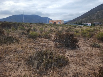 Terreno en venta en Parcela 1 Hectarea Ideal para Proyectos (144970), Coquimbo