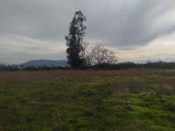 Venta / Terreno / Rengo