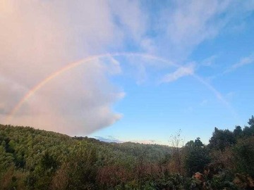 Terreno en venta en Terreno entre riiopescado y rio portillo (70478), Puerto Montt