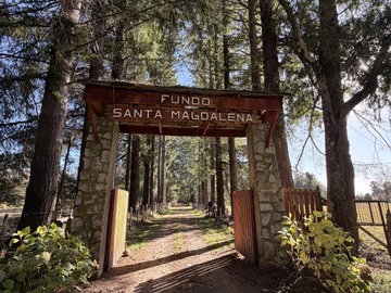 Venta / Terreno / Villarrica