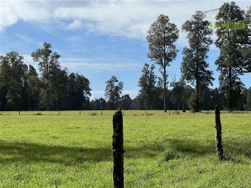 Terreno Agricola en venta en Campo de 85 hectáreas a 20 minutos de Frutillar., Frutillar