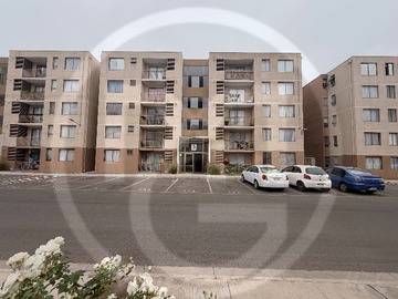 Arriendo Mensual / Departamento / Quillota