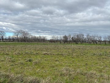 Parcela en venta en Parcela de 5.000 M en San Carlos, Ñuble - Excelente Ubicación