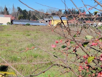 Sitio en venta en Tegualda con Avda Araucana amplio terreno c/luz, agua, Hualqui