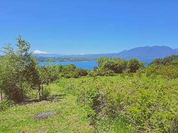 Terreno en venta en Terreno 5000 mt2 – Rol propio - Vista al lago (162480), Panguipulli